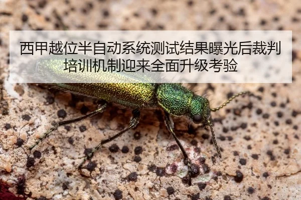 西甲越位半自动系统测试结果曝光后裁判培训机制迎来全面升级考验
